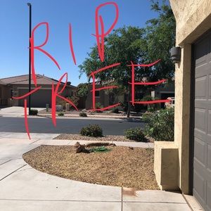 Meet your Posher, Celine